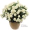 Set of 12: Cream Mum Bush with 11 Lifelike Sprays & 33 Blooms | 18-Inch | UV Resistant | Indoor/Outdoor Use | Floral Bushes | Patio & Garden | Home & Office Decor